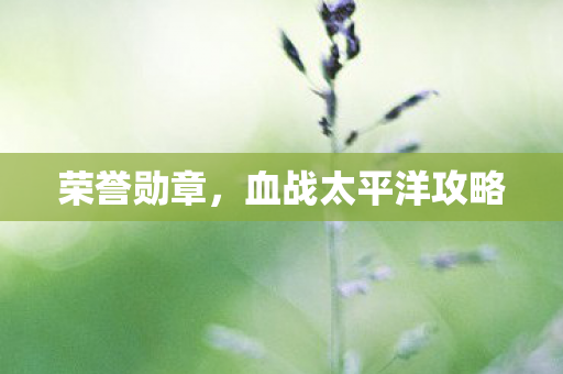 荣誉勋章，血战太平洋攻略