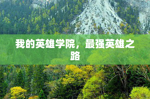我的英雄学院，最强英雄之路