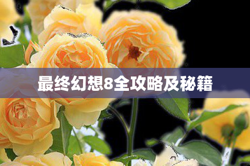 最终幻想8全攻略及秘籍