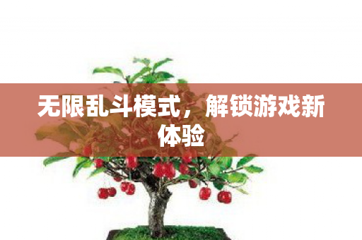 无限乱斗模式，解锁游戏新体验