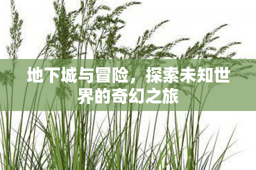 地下城与冒险，探索未知世界的奇幻之旅