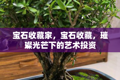 宝石收藏家,宝石收藏,璀璨光芒下的艺术投资 宝石收藏家,宝石收藏,璀璨光芒下的艺术投资