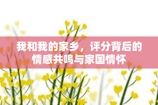 评分背后的情感共鸣与家国情怀图片