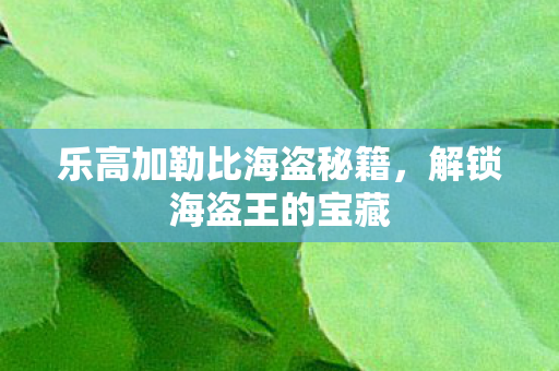 乐高加勒比海盗秘籍，解锁海盗王的宝藏