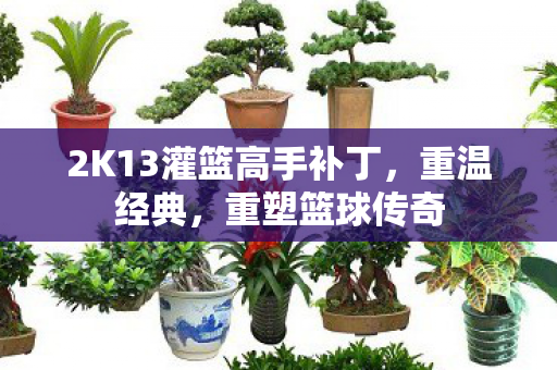 2K13灌篮高手补丁，重温经典，重塑篮球传奇