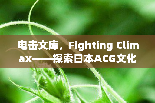电击文库，Fighting Climax——探索日本ACG文化的深度之作