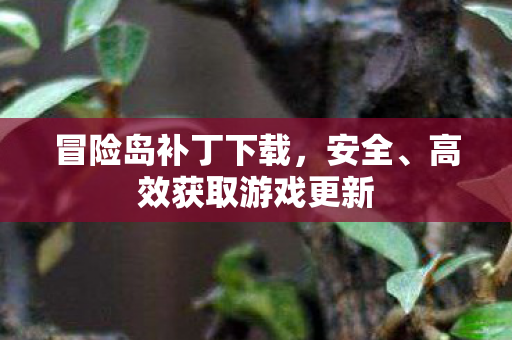 冒险岛补丁下载，安全、高效获取游戏更新