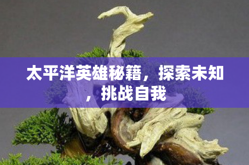 太平洋英雄秘籍，探索未知，挑战自我