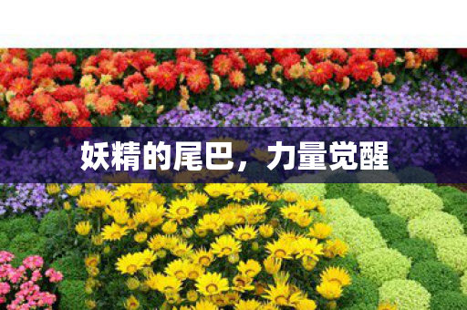 妖精的尾巴图片