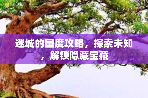 迷城的国度攻略，探索未知，解锁隐藏宝藏