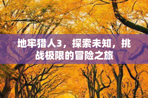 地牢猎人3，探索未知，挑战极限的冒险之旅