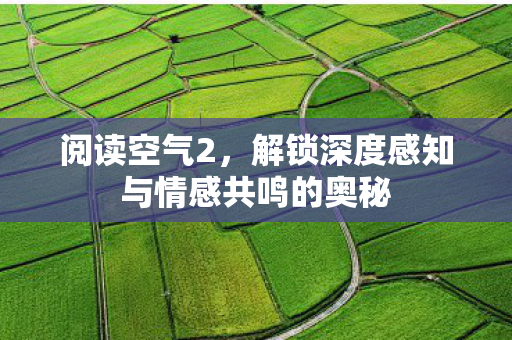 阅读空气2，解锁深度感知与情感共鸣的奥秘