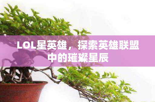 LOL星英雄，探索英雄联盟中的璀璨星辰