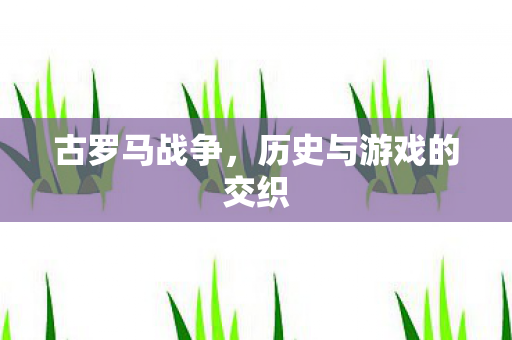 古罗马战争，历史与游戏的交织