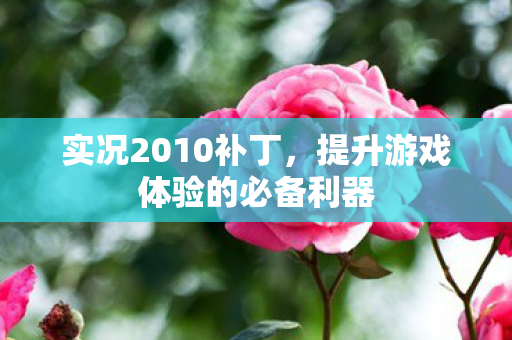 实况2010补丁，提升游戏体验的必备利器