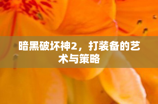 暗黑破坏神2，打装备的艺术与策略