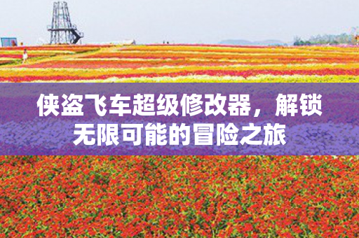 侠盗飞车超级修改器，解锁无限可能的冒险之旅