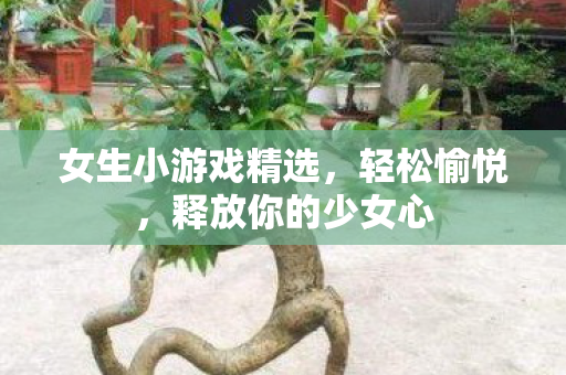 女生小游戏精选，轻松愉悦，释放你的少女心