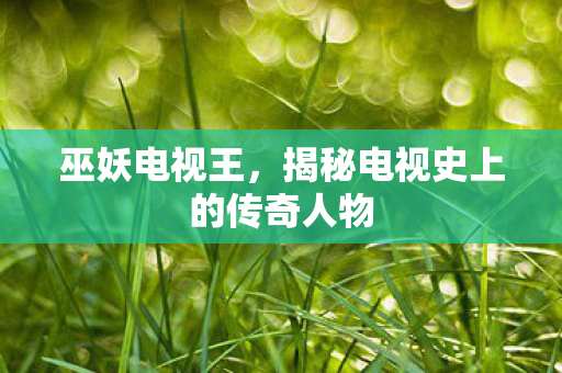 巫妖电视王，揭秘电视史上的传奇人物