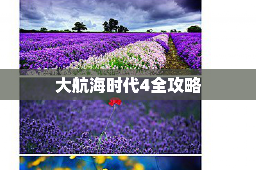 大航海时代4全攻略
