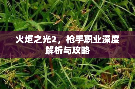 火炬之光2，枪手职业深度解析与攻略