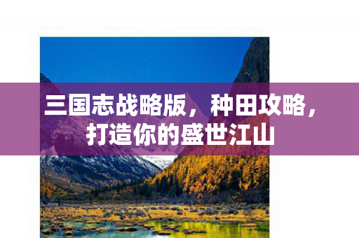 三国志战略版，种田攻略，打造你的盛世江山