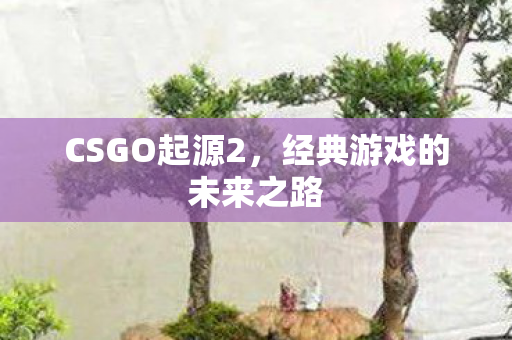 经典游戏的未来之路图片