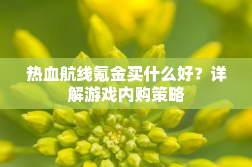 热血航线氪金买什么好？详解游戏内购策略