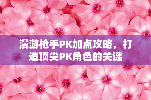 漫游枪手PK加点攻略，打造顶尖PK角色的关键
