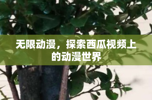 无限动漫，探索西瓜视频上的动漫世界