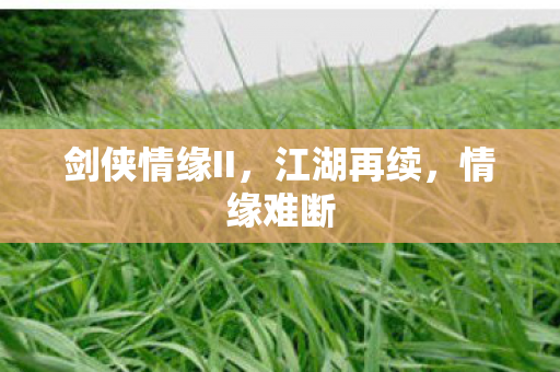 剑侠情缘II，江湖再续，情缘难断