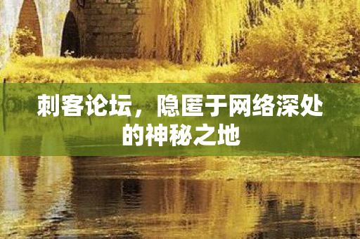刺客论坛,隐匿于网络深处的神秘之地 刺客论坛,隐匿于网络深处的神秘之地