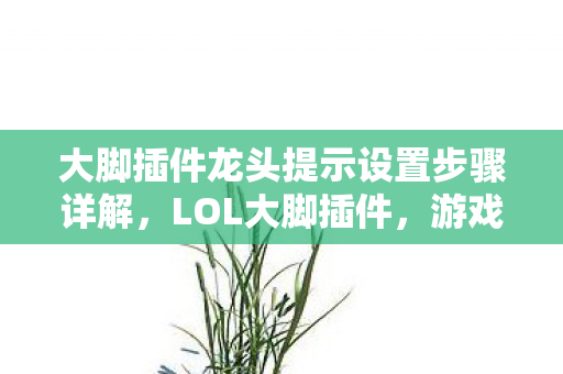 大脚插件龙头提示设置步骤详解，LOL大脚插件，游戏辅助神器还是潜在风险？