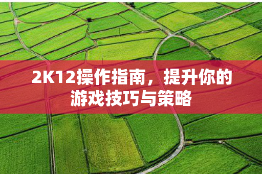 2K12操作指南，提升你的游戏技巧与策略