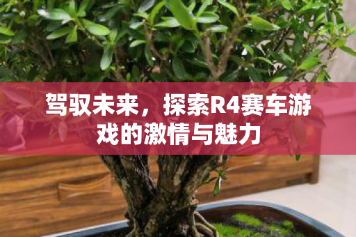 驾驭未来，探索R4赛车游戏的激情与魅力
