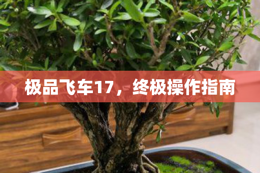 极品飞车17，终极操作指南