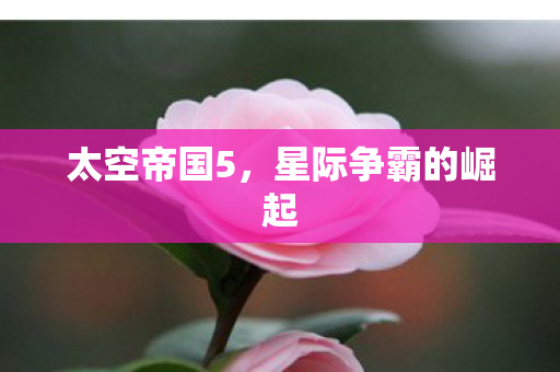 太空帝国5，星际争霸的崛起