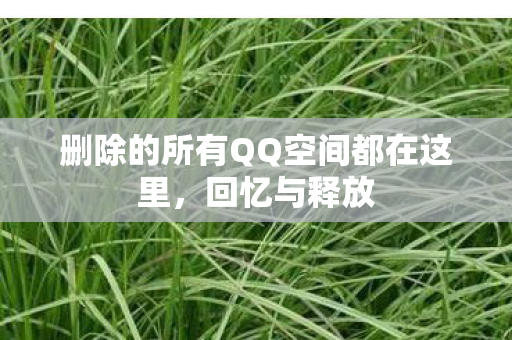 删除的所有QQ空间都在这里，回忆与释放