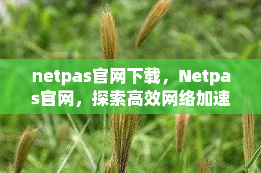 netpas官网下载，Netpas官网，探索高效网络加速的奥秘
