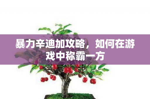 暴力辛迪加攻略，如何在游戏中称霸一方