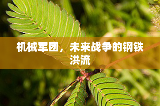 未来战争的钢铁洪流图片