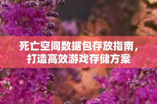 死亡空间数据包存放指南，打造高效游戏存储方案