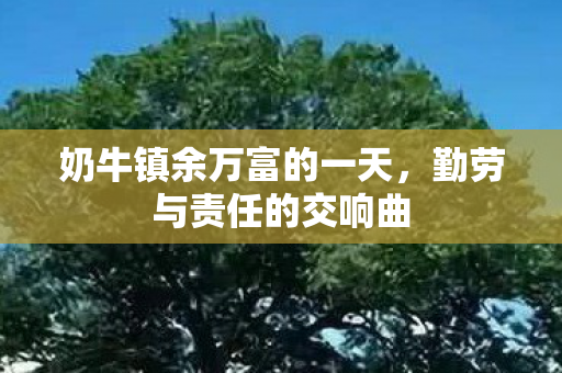 奶牛镇余万富的一天，勤劳与责任的交响曲