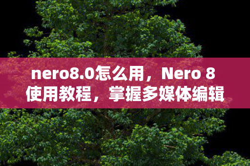 nero8.0怎么用，Nero 8 使用教程，掌握多媒体编辑与刻录的必备技能