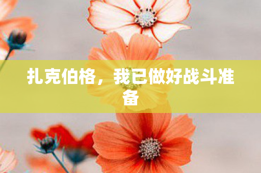 扎克伯格，我已做好战斗准备