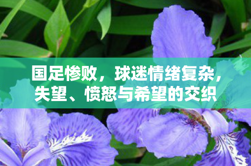 国足惨败，球迷情绪复杂，失望、愤怒与希望的交织