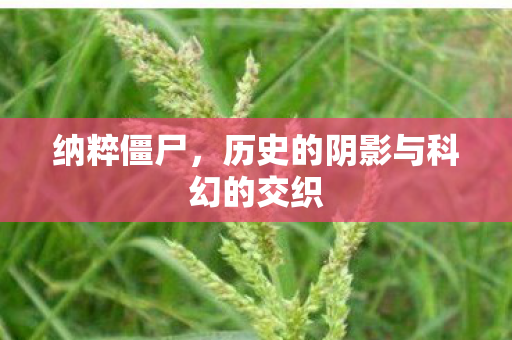历史的阴影与科幻的交织图片