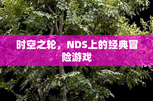 时空之轮，NDS上的经典冒险游戏