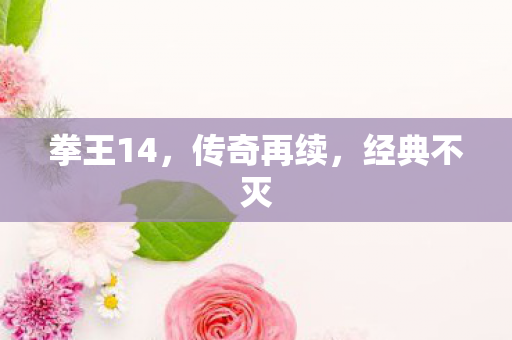拳王14，传奇再续，经典不灭