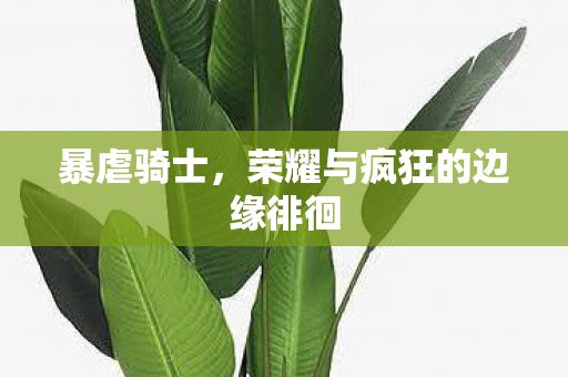 暴虐骑士，荣耀与疯狂的边缘徘徊